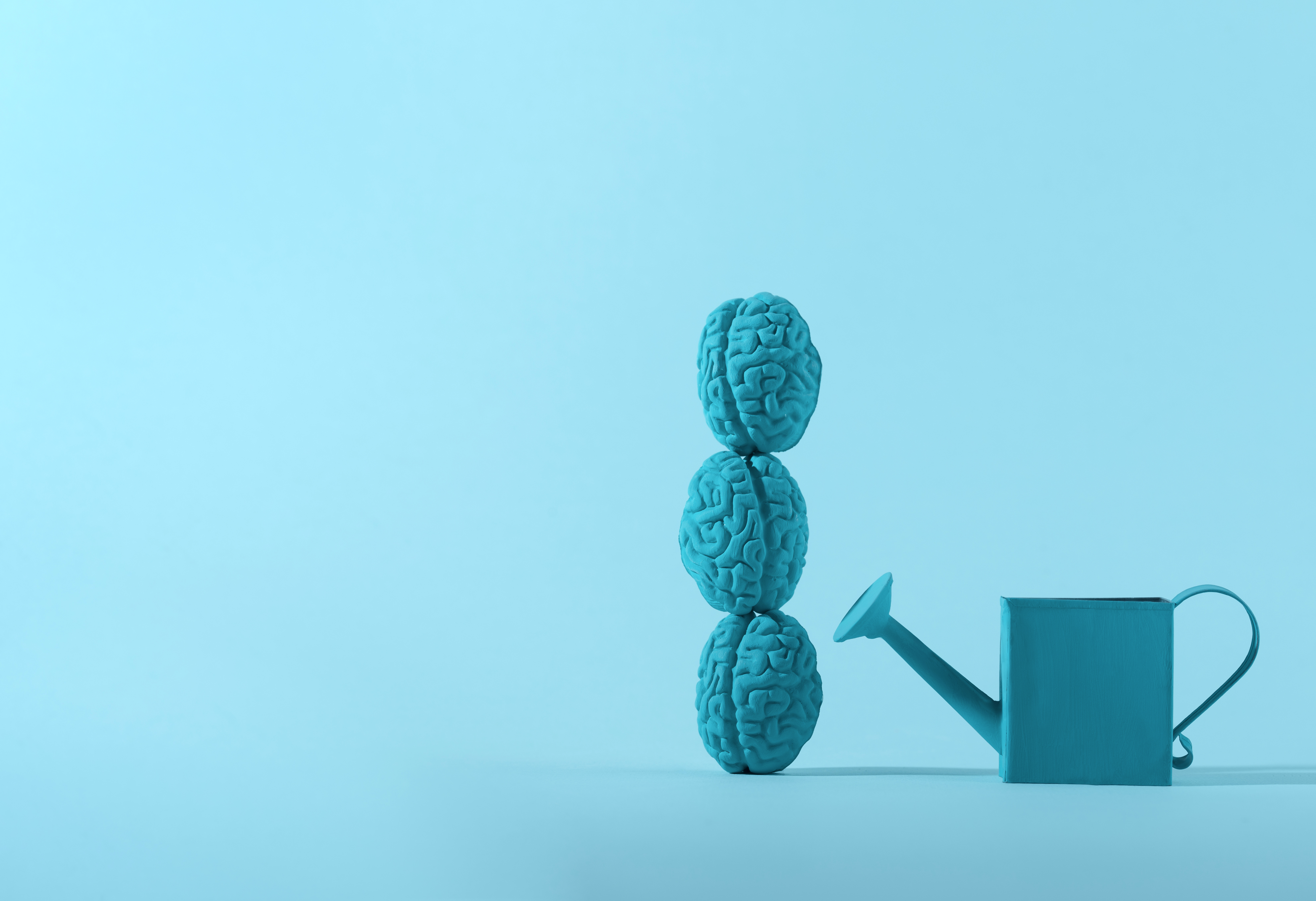 Emotional Intelligence